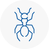 Ant Removals In Chelsea