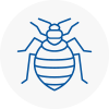 Bed Bug Extermination In Chelsea