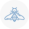 Bee Nest Removal Chelsea