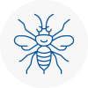 Chelsea Hornet Nest Removals