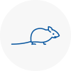 Mice Exterminators In Chelsea