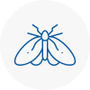 Moth Control Specialists In Chelsea