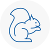 Chelsea Rodent Removals