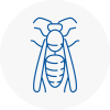 Chelsea Wasp Nest Removal